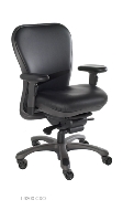 Picture of Nightingale L6200 CXO, Mid Back Executive Ergonomic Office Chair