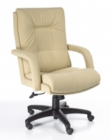 Picture of High Back Executive Ergonomic Office Conference Chair