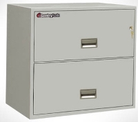 Picture of Sentry Safe 2L3010, 30"W 2 Drawer Lateral Fire File Cabinet 