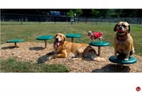 Picture of Bark Park Stepping Paws, Outdoor Dog Exercise