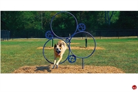 Picture of Bark Park Hoop Jump, Outdoor Dog Exercise