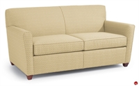 Picture of Flexsteel Healthcare Coronado Lounge 2 Seat Loveseat Sleeper Sofa